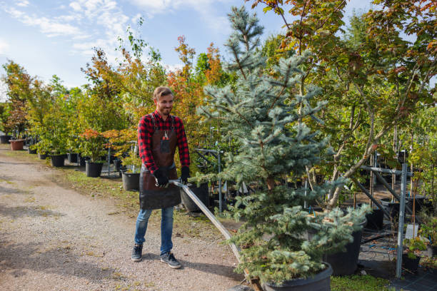 Best Fruit Tree Pruning  in Columbus, TX